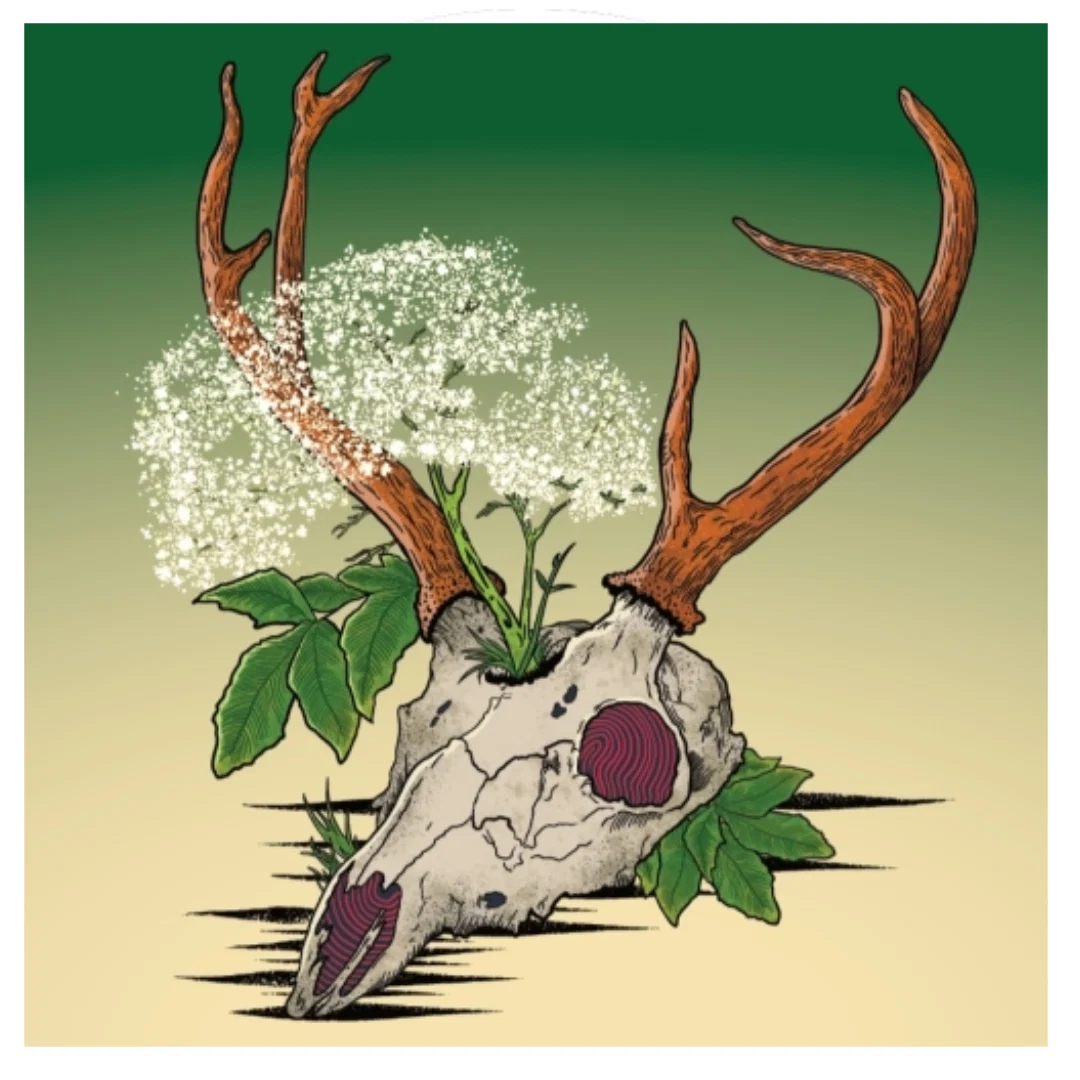 Skullflower